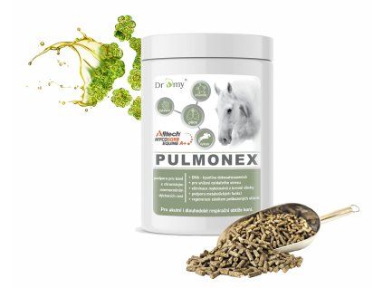 Dromy Pulmonex 1500 g