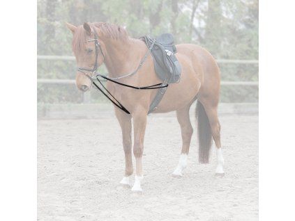 Vyvazovací otěže Waldhausen (Velikost PONY, Barva black)