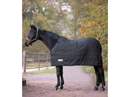 EKONOMICKÁ termo poddeka, 100 g- k dekám clip in (Velikost 115 cm, Barva black)