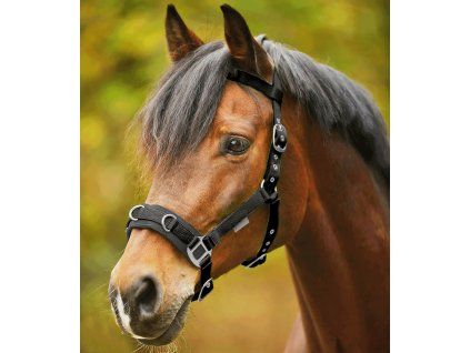 Lonžovací obnosek, syntetický (Velikost PONY, Barva pink)