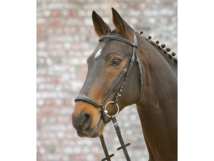 STAR uzdečka Hannover (Velikost PONY, Barva black)