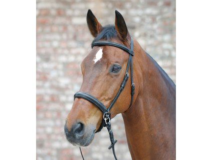 Bezudidlová uzdečka STAR (Velikost PONY, Barva black)