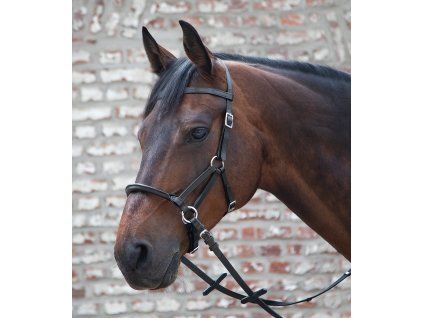 Bezudidlovka Linda Tellington-Jones Lindell (Velikost PONY, Barva black)