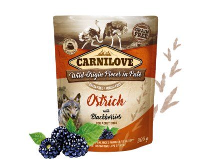 Ostrich with Blackberries
