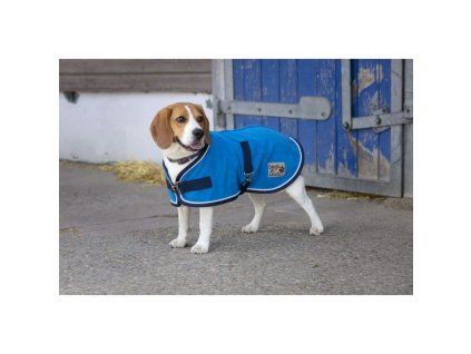 Fleece deka pro psa Diego & Louna