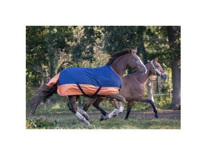 Výběhová deka Tyrex Equitheme 150g