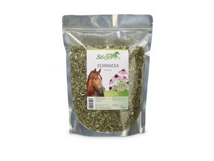 Echinacea