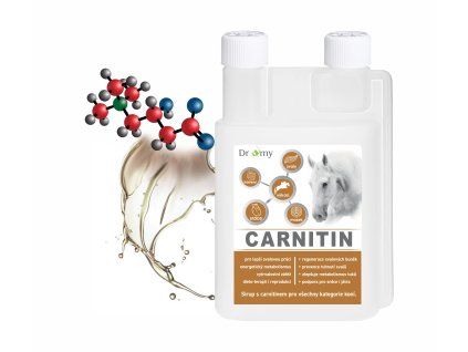L-Carnitin sirup 1l Dromy