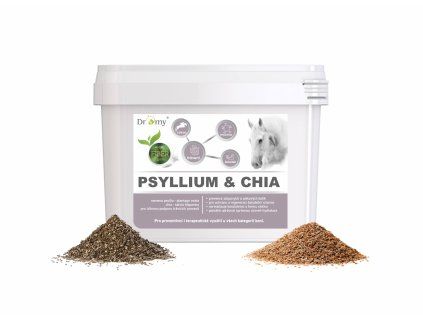 Psyllium + chia Dromy 3000g