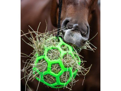 Hay Ball závěsná koule na seno Waldhausen (Barva green)
