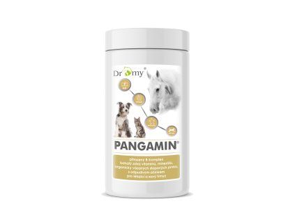 pangamin pes uzka px