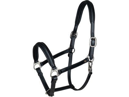 Kožená ohlávka Waldhausen Classy S-Line (Velikost COB, Barva black/silver)