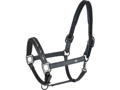 Kožený ohlávka Crystal (Velikost PONY, Barva black/grey)