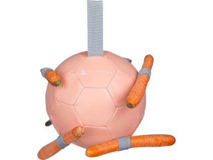 Hračka pro koně Carrot Ball (Barva linnea pink)