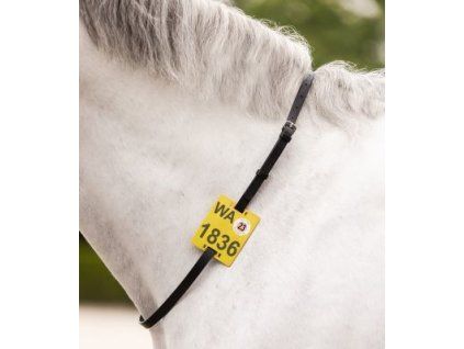 Kožený nákrčník Waldhausen (Velikost PONY, Barva black)