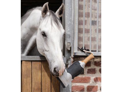Horse toy champagne bottle