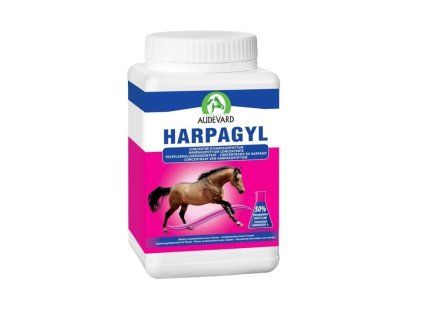 HARPAGYL Na ztuhlé koně a chronickou bolest