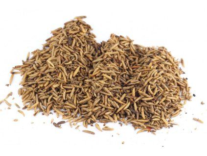 Sušený hmyz - Larva Bráněnky 2,5kg