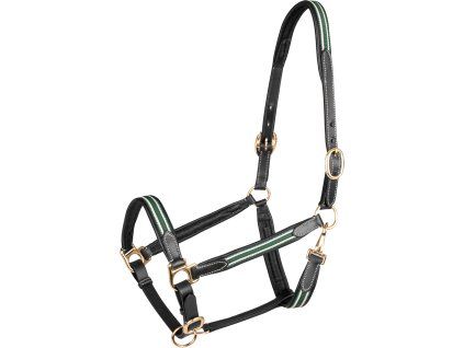Kožená ohlávka Oxford Waldhausen X-Line, black (Velikost COB, Barva beige)