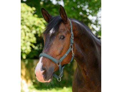 Extra měkká ohlávka Trinidad (Velikost PONY, Barva black)