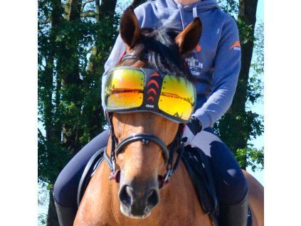 Ochrana očí, brýle pro koně Equick eVysor - Orange