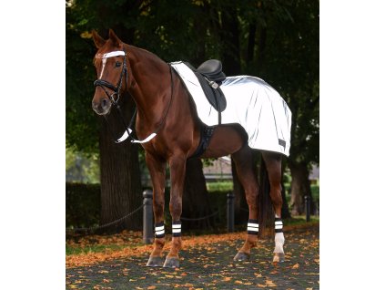 Reflexní bederní deka Waldhausen (Velikost PONY, Barva silver grey)