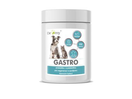 GASTRO