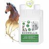 BoswelliaII