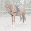 Vyvazovací otěže Waldhausen (Velikost PONY, Barva black)