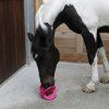 Bizzy Ball (Barva pink)