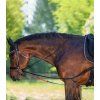 Waldhausen W-trainRein (Velikost PONY, Barva black)