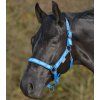 Ohlávka Little horse Waldhausen (Velikost COB, Barva black)