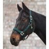 Ohlávka Perlon Satin Waldhausen (Velikost PONY, Barva black)