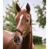 Ohlávka Perlon Satin Waldhausen (Velikost PONY, Barva black)