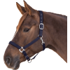 Ohlávka Perlon Satin Waldhausen (Velikost PONY, Barva black)