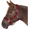 Ohlávka Perlon Satin Waldhausen (Velikost PONY, Barva black)