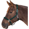 Ohlávka Perlon Satin Waldhausen (Velikost PONY, Barva black)