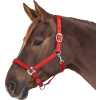 Ohlávka Perlon Satin Waldhausen (Velikost PONY, Barva black)