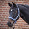 Ohlávka Perlon Satin Waldhausen (Velikost PONY, Barva black)