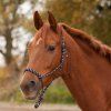 Ohlávka provazová Waldhausen (Velikost PONY, Barva black/mint)