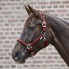 Ohlávka Crystal Waldhausen (Velikost PONY, Barva black)
