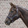 Ohlávka Crystal Waldhausen (Velikost PONY, Barva black)