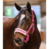 Ohlávka Elegant Waldhausen (Velikost PONY, Barva black)