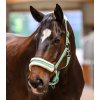 Ohlávka Elegant Waldhausen (Velikost PONY, Barva black)