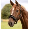 Ohlávka Elegant Waldhausen (Velikost PONY, Barva black)