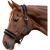 Ohlávka Elegant Waldhausen (Velikost PONY, Barva black)