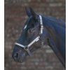 Ohlávka s reflexními pruhy Waldhausen, grey (Velikost PONY, Barva grey)