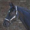 Ohlávka s reflexními pruhy Waldhausen, grey (Velikost PONY, Barva grey)