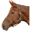 Ohlávka Nevada Waldhausen (Velikost PONY, Barva black/silver)