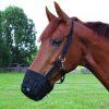 Náhubek pastevní Waldhausen (Velikost PONY, Barva black)